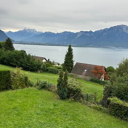 Amazing View Montreux